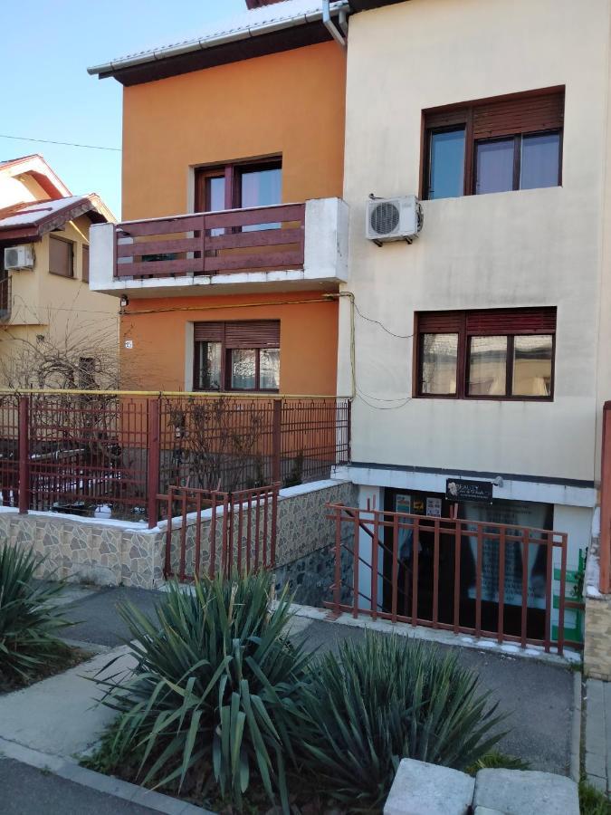 Apartament Cu Terasa La Casa Tina Тимишоара Екстериор снимка