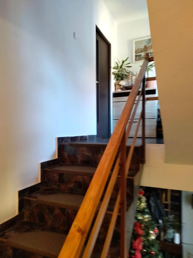 Apartament Cu Terasa La Casa Tina Тимишоара Екстериор снимка