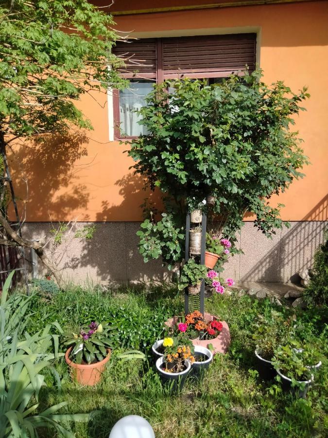 Apartament Cu Terasa La Casa Tina Тимишоара Екстериор снимка