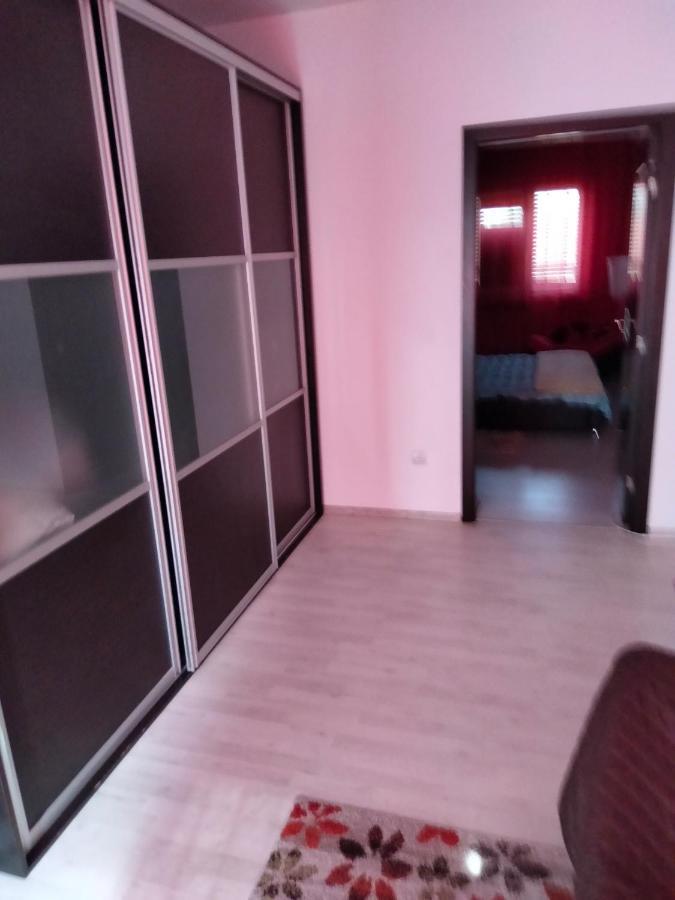 Apartament Cu Terasa La Casa Tina Тимишоара Екстериор снимка