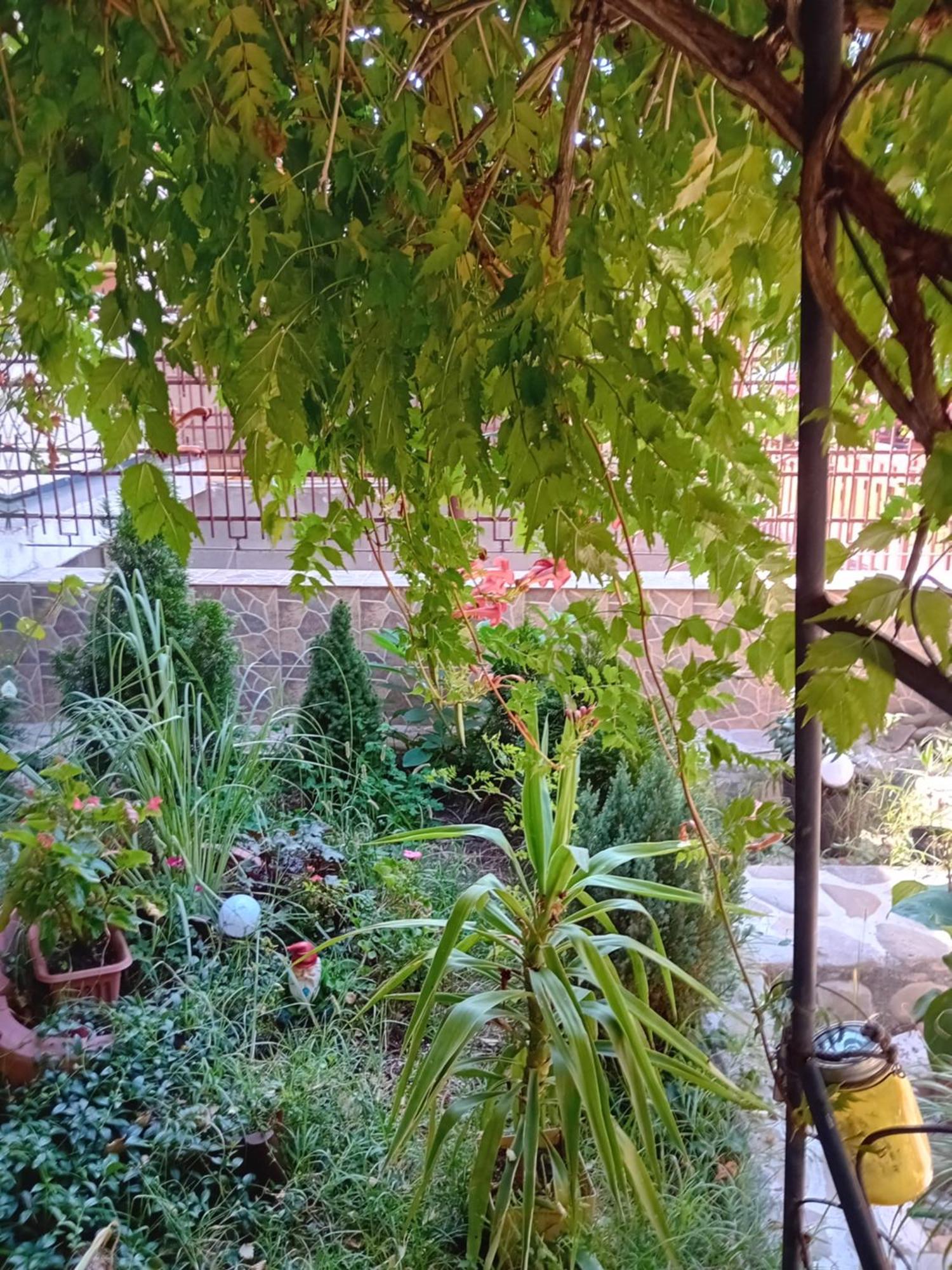 Apartament Cu Terasa La Casa Tina Тимишоара Екстериор снимка