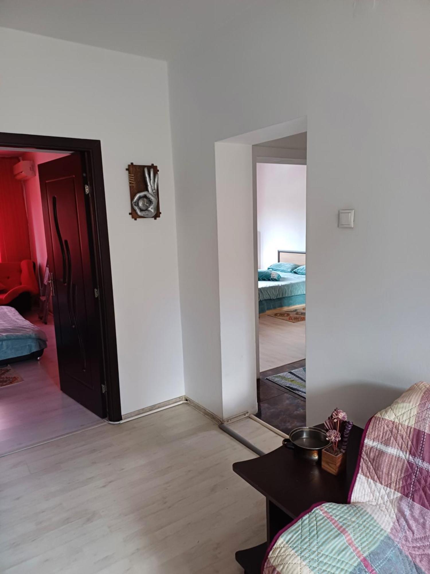 Apartament Cu Terasa La Casa Tina Тимишоара Екстериор снимка