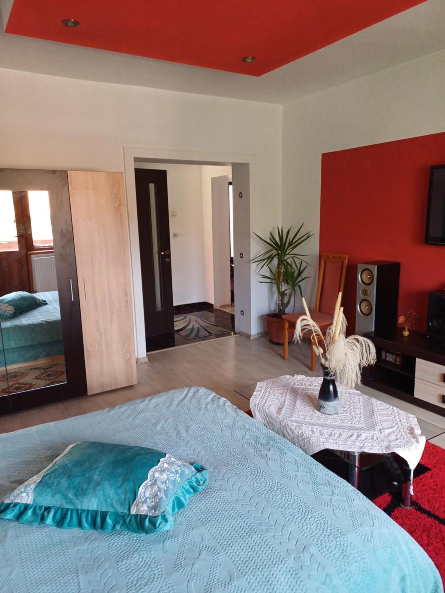 Apartament Cu Terasa La Casa Tina Тимишоара Екстериор снимка